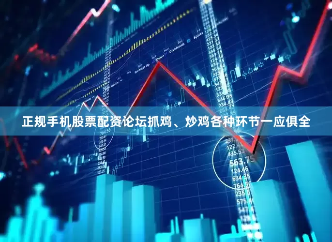 正规手机股票配资论坛抓鸡、炒鸡各种环节一应俱全